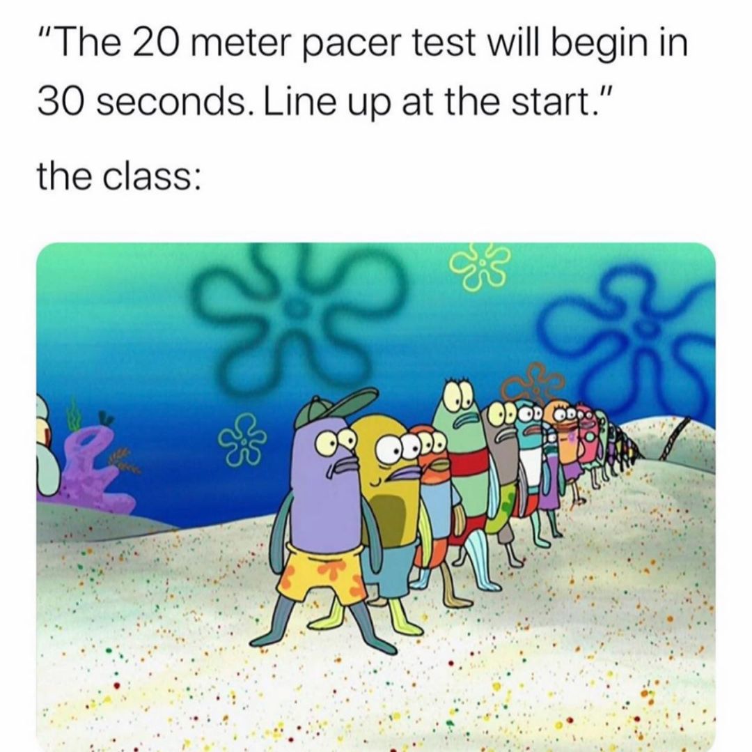 "The 20 meter pacer test will begin in 30 seconds. Line up at the start." The class: