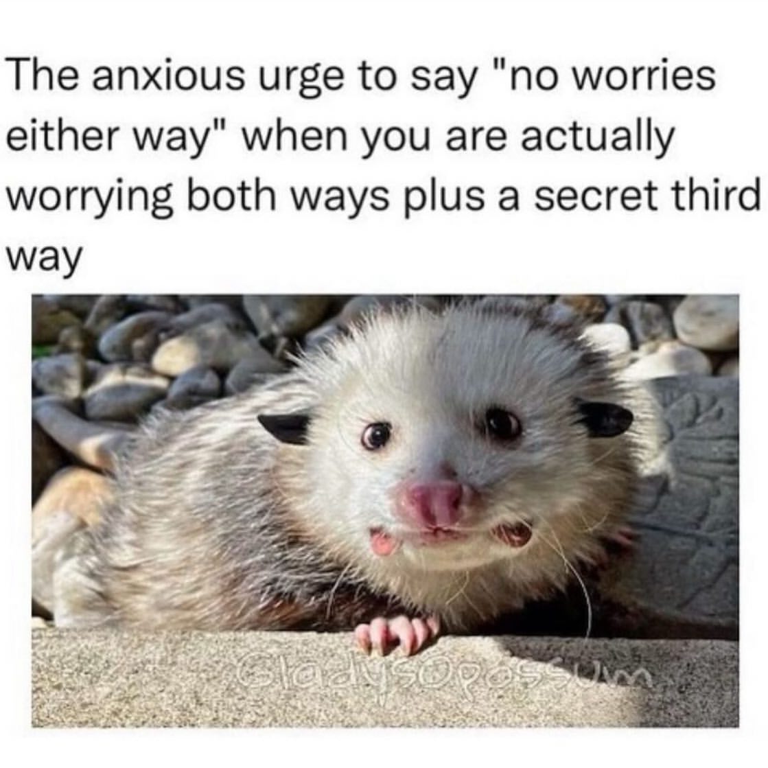 The anxious urge to say "no worries either way" when you are actually worrying both ways plus a secret third way.