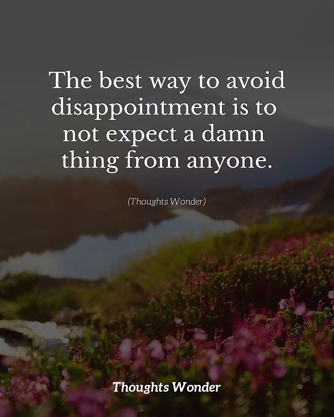 The best way to avoid disappointment is to not expect a damn thing from anyone.