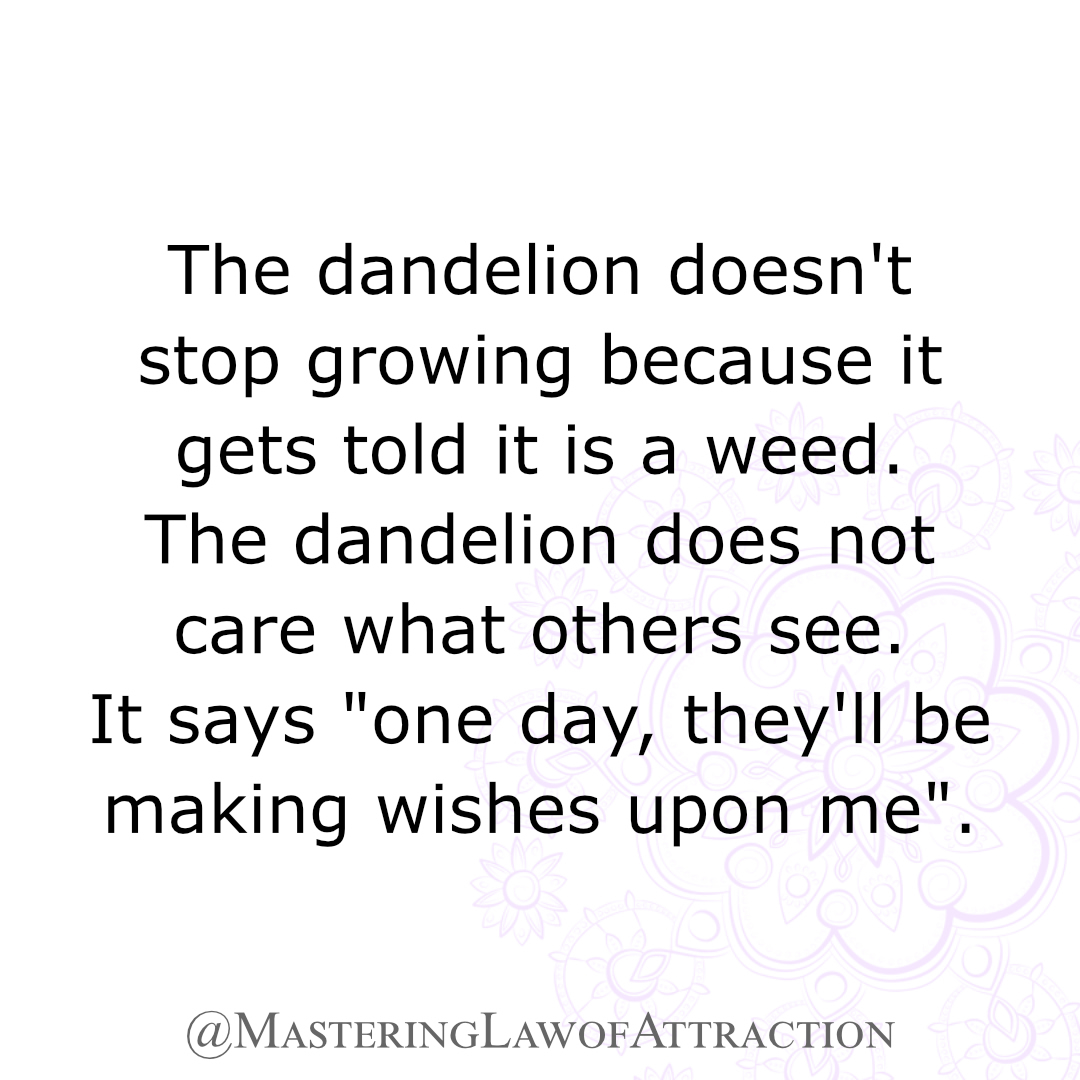 The dandelion doesn't stop growing because it gets told it is a weed. The dandelion does not care what others see. It says "one day, they'll be making wishes upon me".