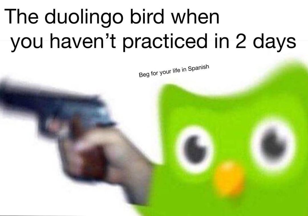 The Duolingo Bird When You Haven T Practiced In 2 Days Beg For Your Life In Spanish Funny