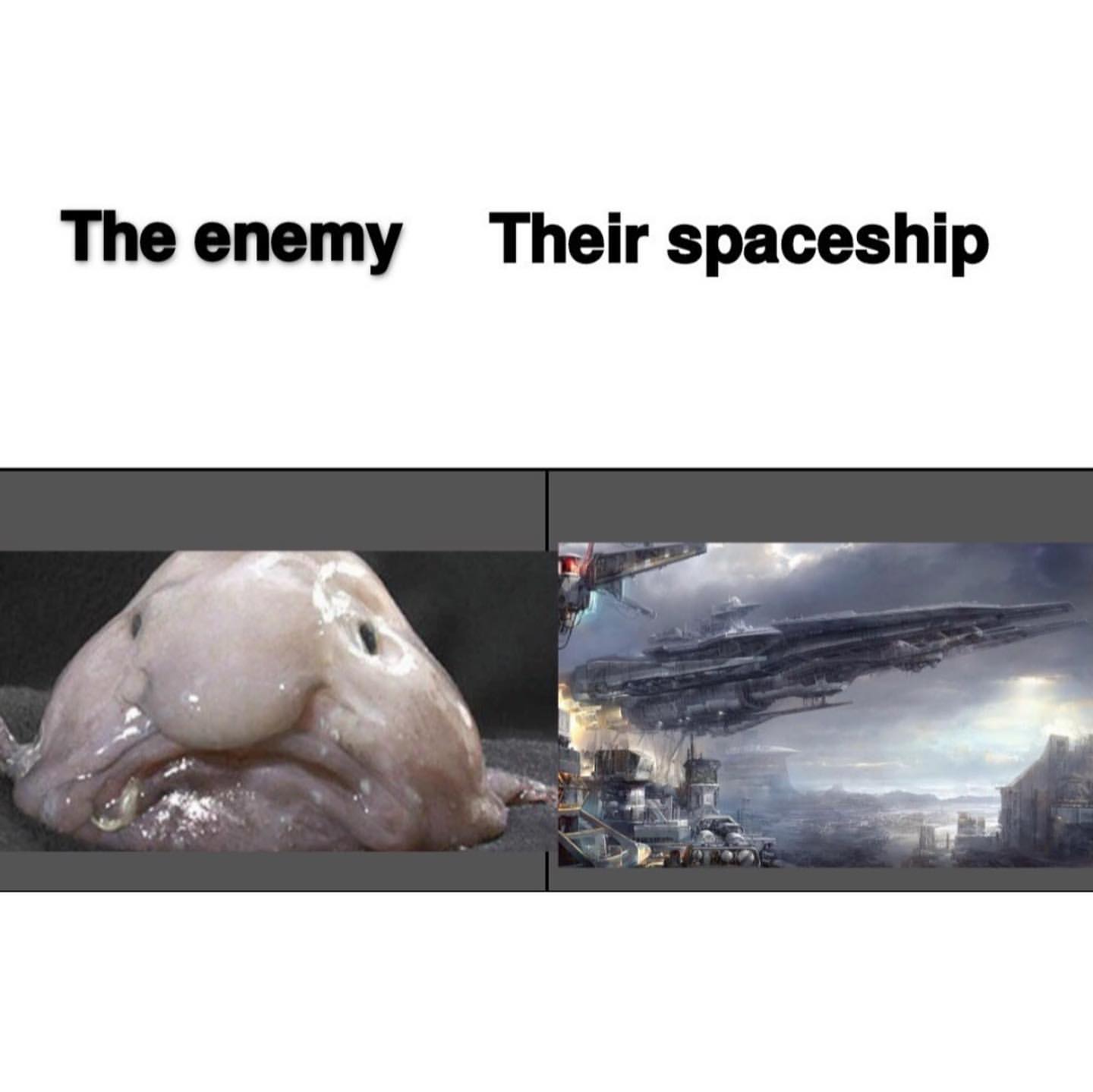 The enemy. Their spaceship.
