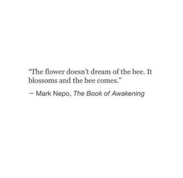 The flower doesn't dream of the bee. It blossoms and the bee comes.