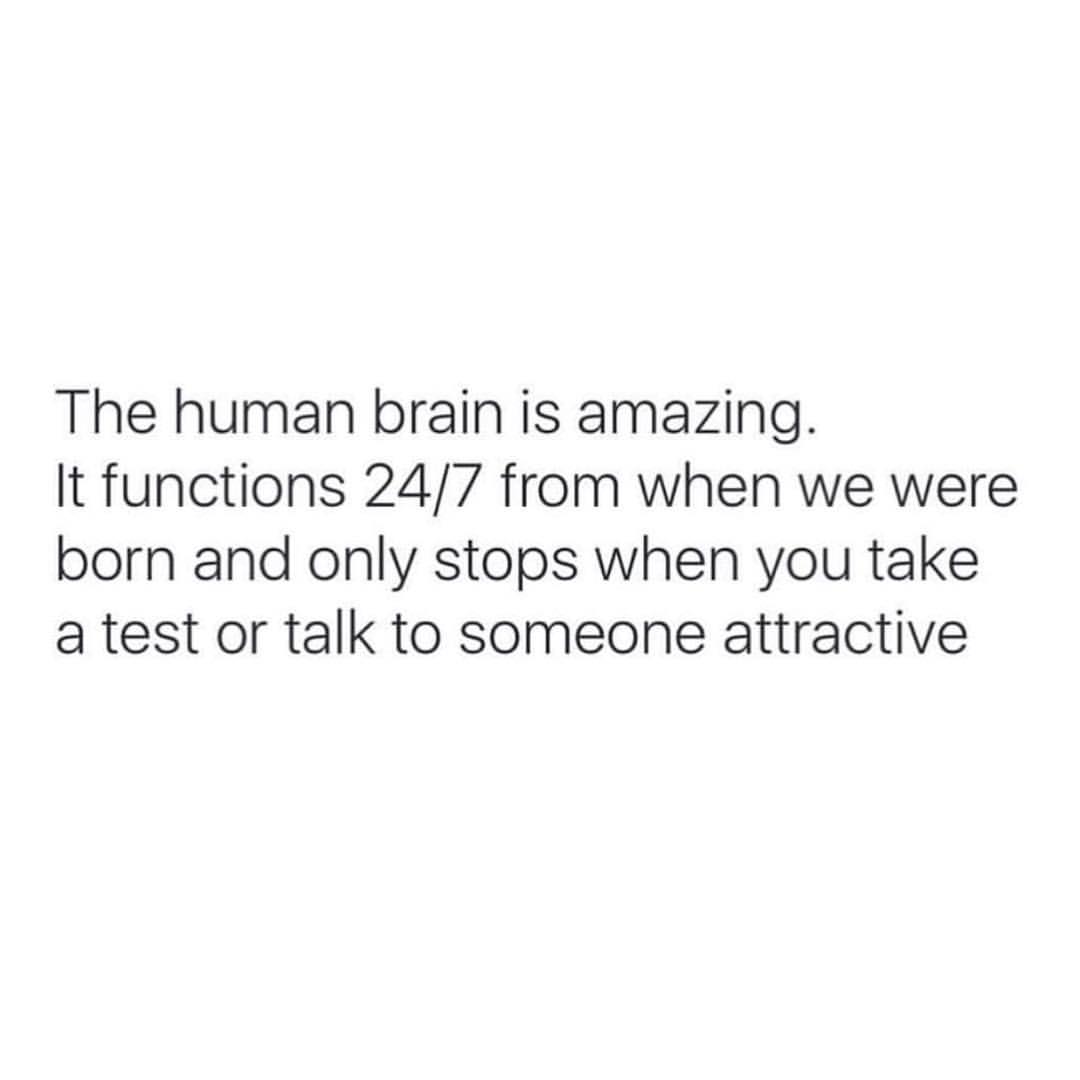 The human brain is amazing. It functions 24/7 from when we were born and only stops when you take a test or talk to someone attractive.