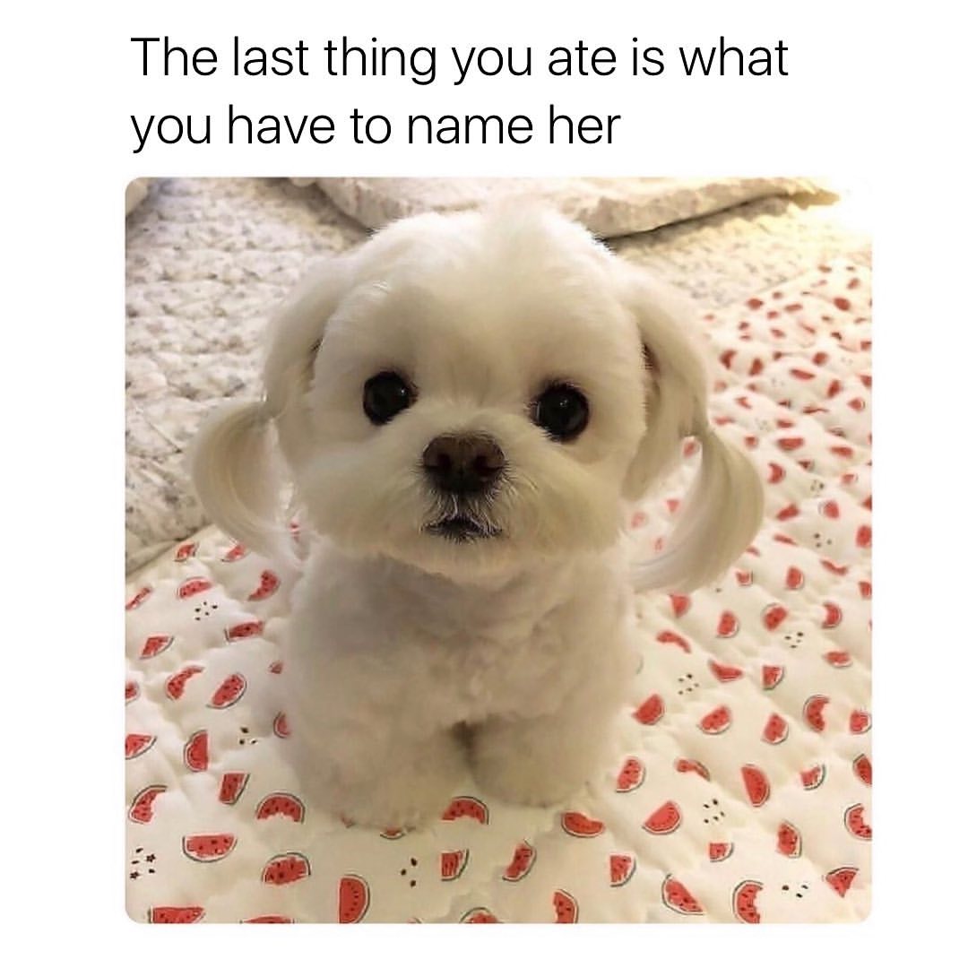 The last thing you ate is what you have to name her.