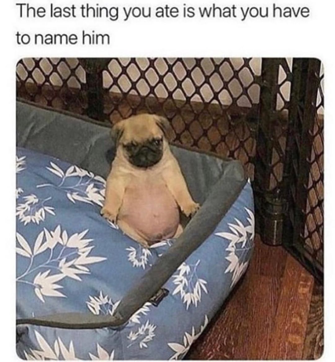 The last thing you ate is what you have to name him.