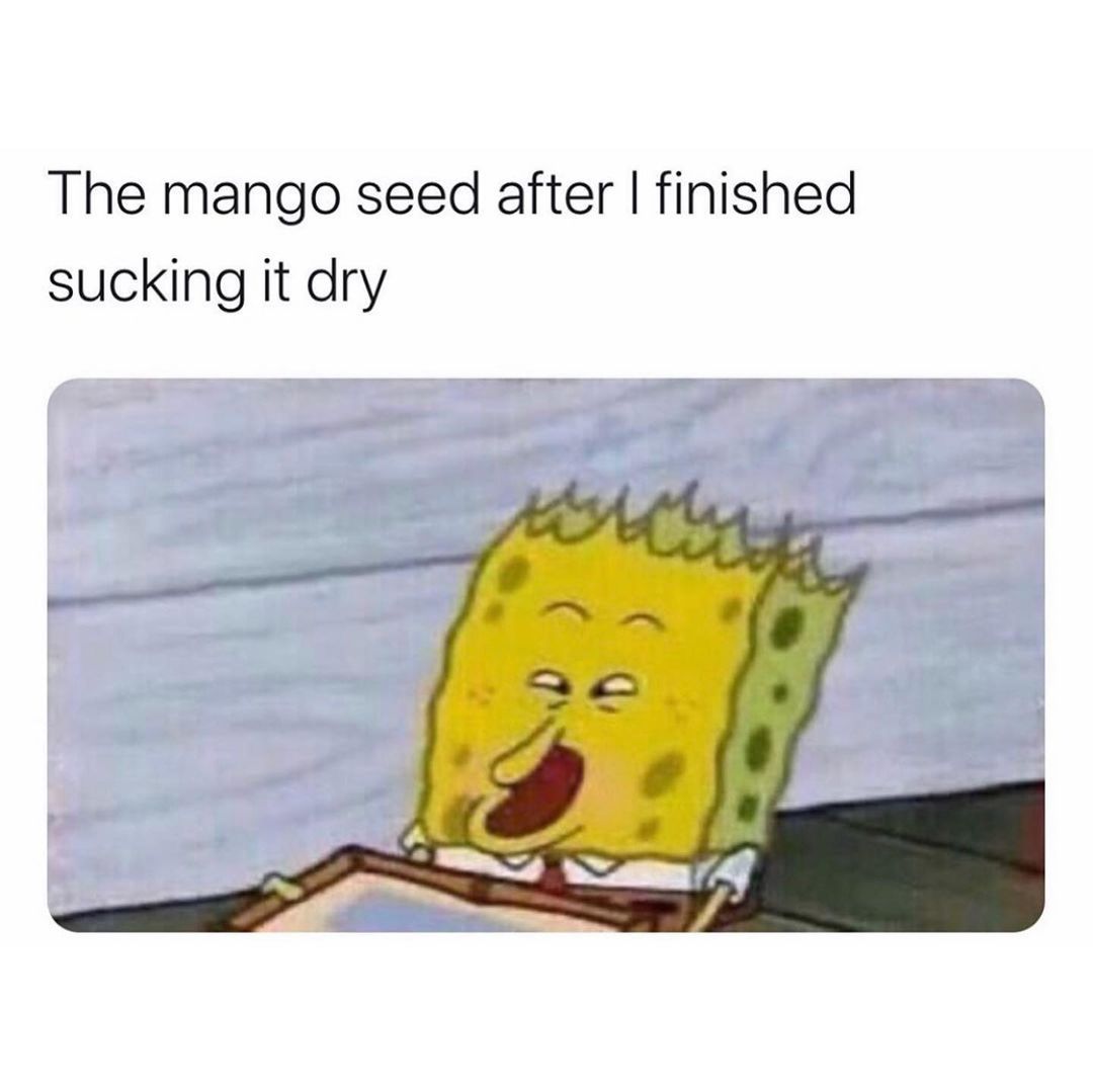 The mango seed after I finished sucking it dry.