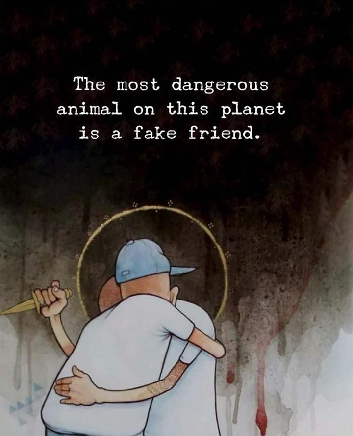 The most, dangerous animal on this planet is a fake friend.