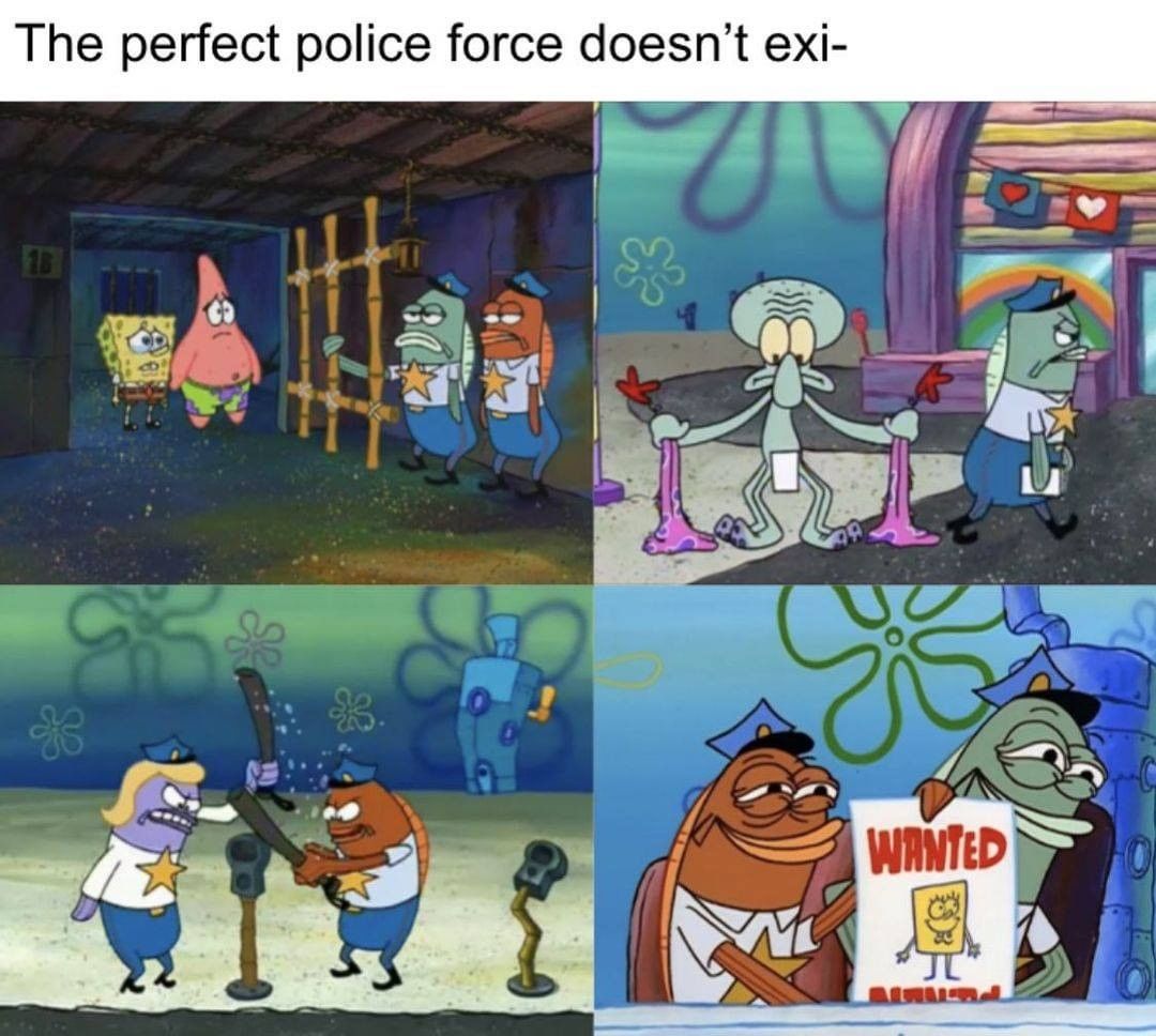 The perfect police force doesn't exi-
