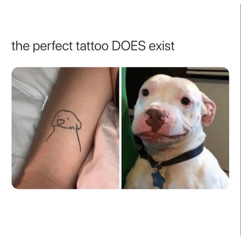 The perfect tattoo does exist.