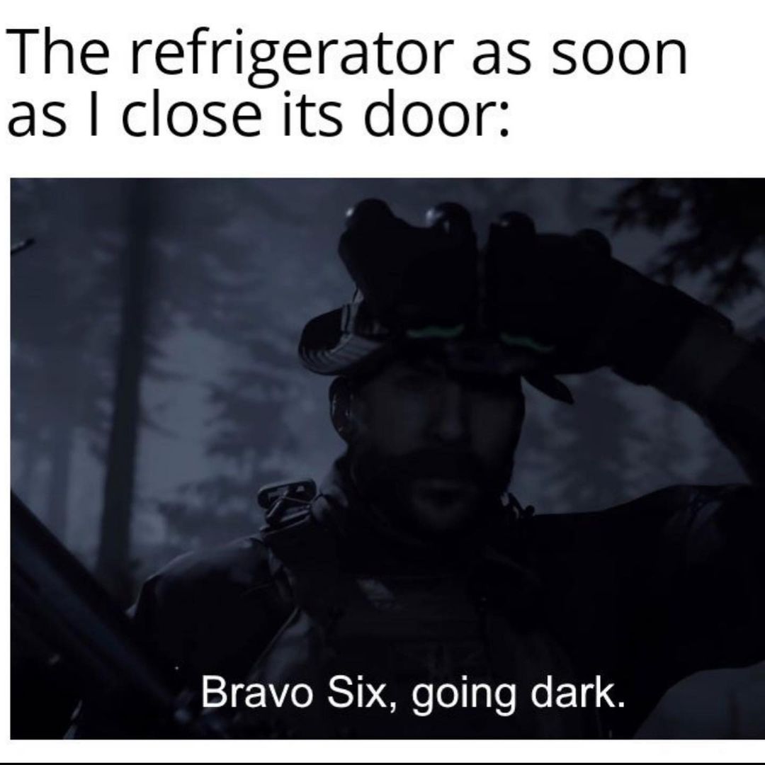The refrigerator as soon as I close its door: Bravo six, going dark.