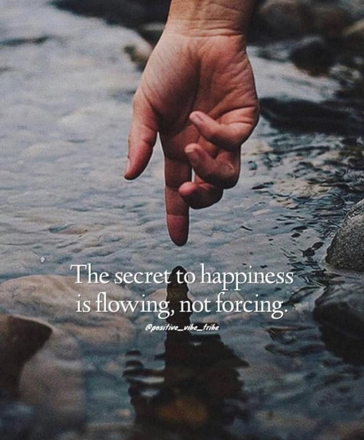 The secret to happiness is flowing, not forcing.