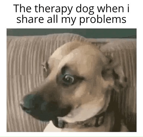 The therapy dog when I share all my problems.