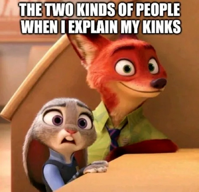 The two kinds of people when I explain my kinks.