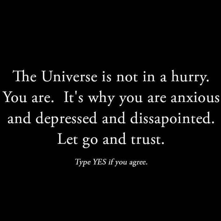 The Universe is not in a hurry. You are. It's why you are anxious and depressed and disappointed. Let go and trust. Type YES if you agree.