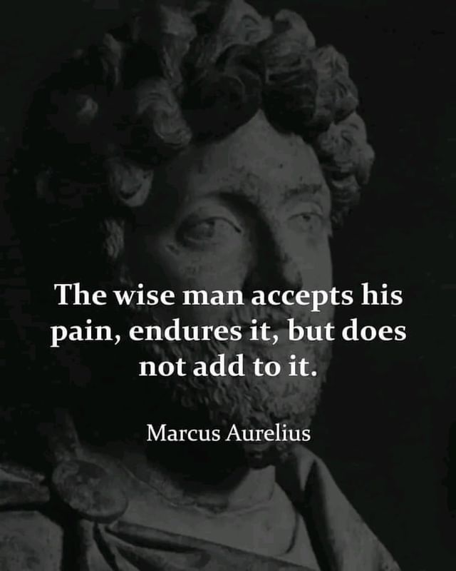 The wise man accepts his pain, endures it, but does not add to it.