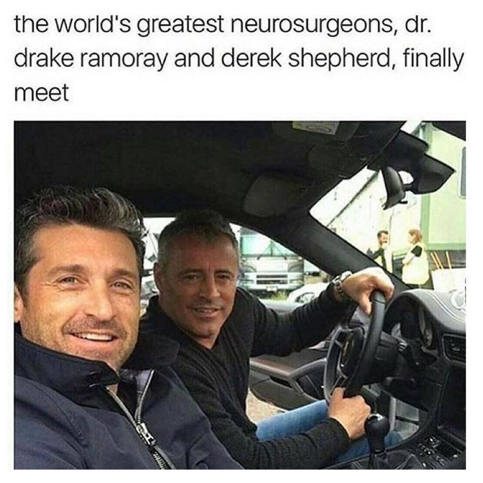 The world's greatest neurosurgeons, dr. Drake Ramoray and Derek Shepherd, finally meet.