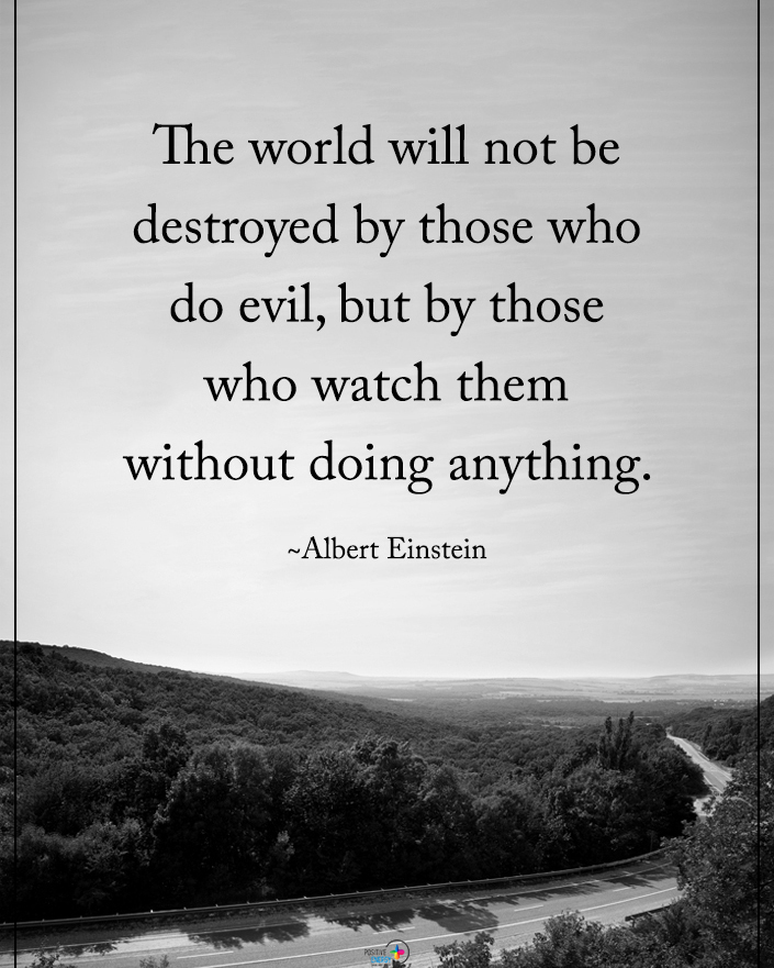 the-world-will-not-be-destroyed-by-those-who-do-evil-but-by-those-who-watch-them-without-doing