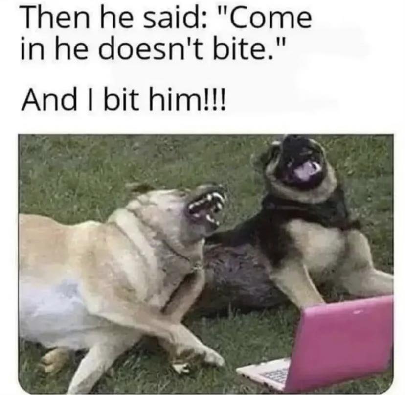 Then he said: "Come in he doesn't bite."  And I bit him!!!