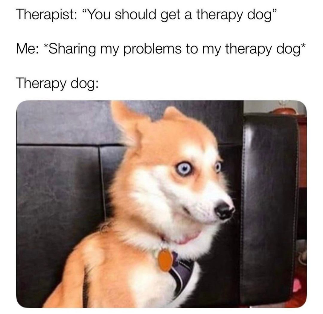 Therapist You Should Get A Therapy Dog Me Sharing My Problems To 