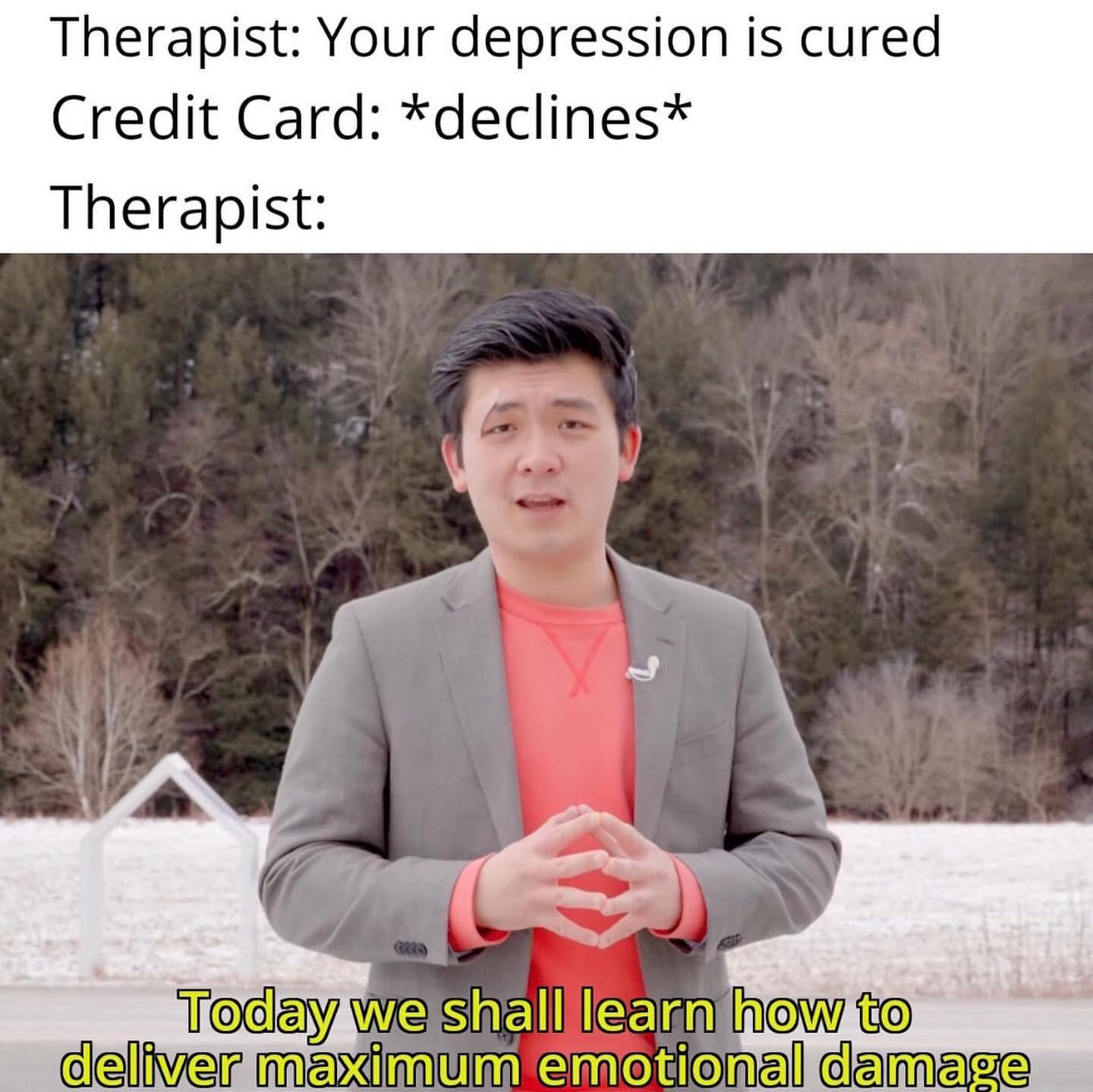 Therapist: Your depression is cured. Credit Card: *Declines* Therapist: Today we shall learn how to deliver maximum emotional damage.