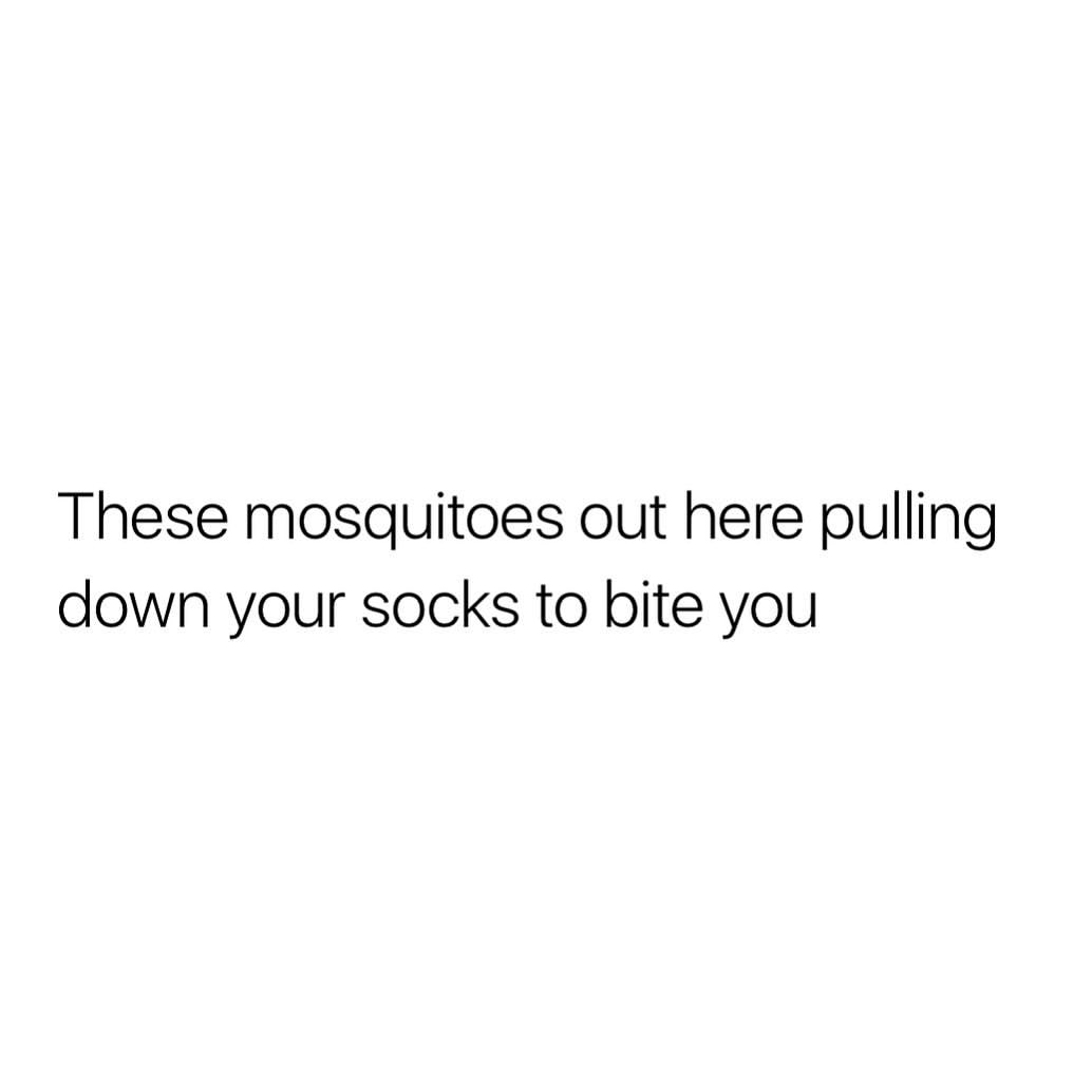 These mosquitoes out here pulling down your socks to bite you.