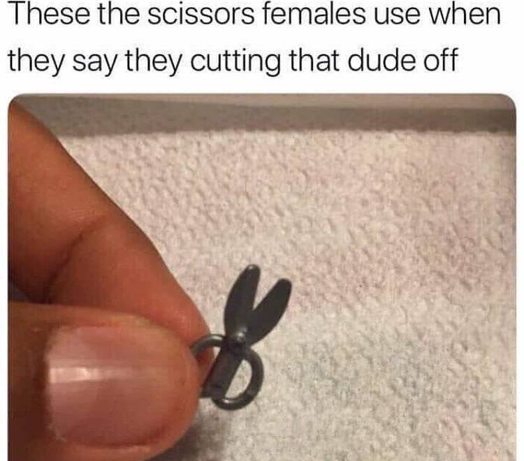 These the scissors females use when they say they cutting that dude off.