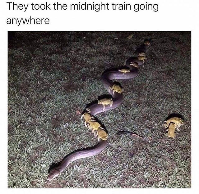 They took the midnight train going anywhere.