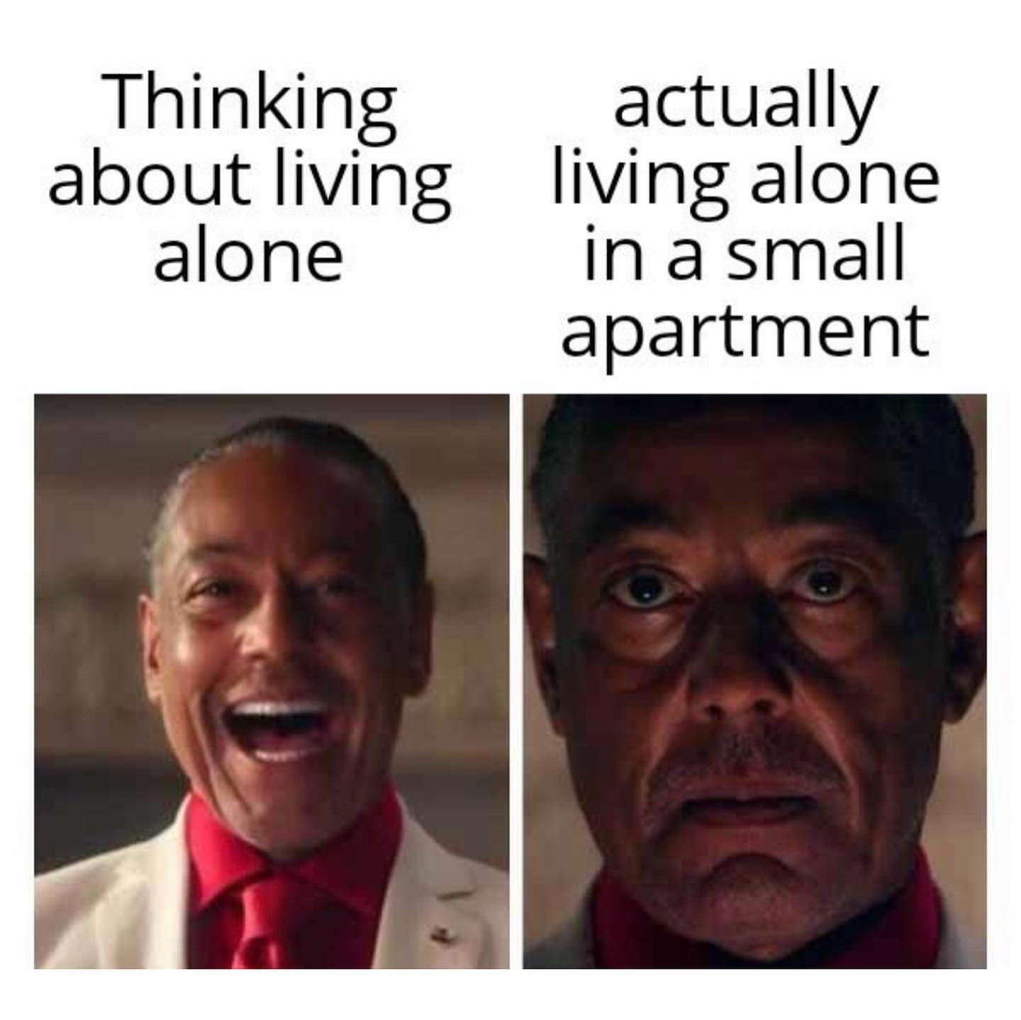 Thinking about living alone actually living alone in a small apartment.