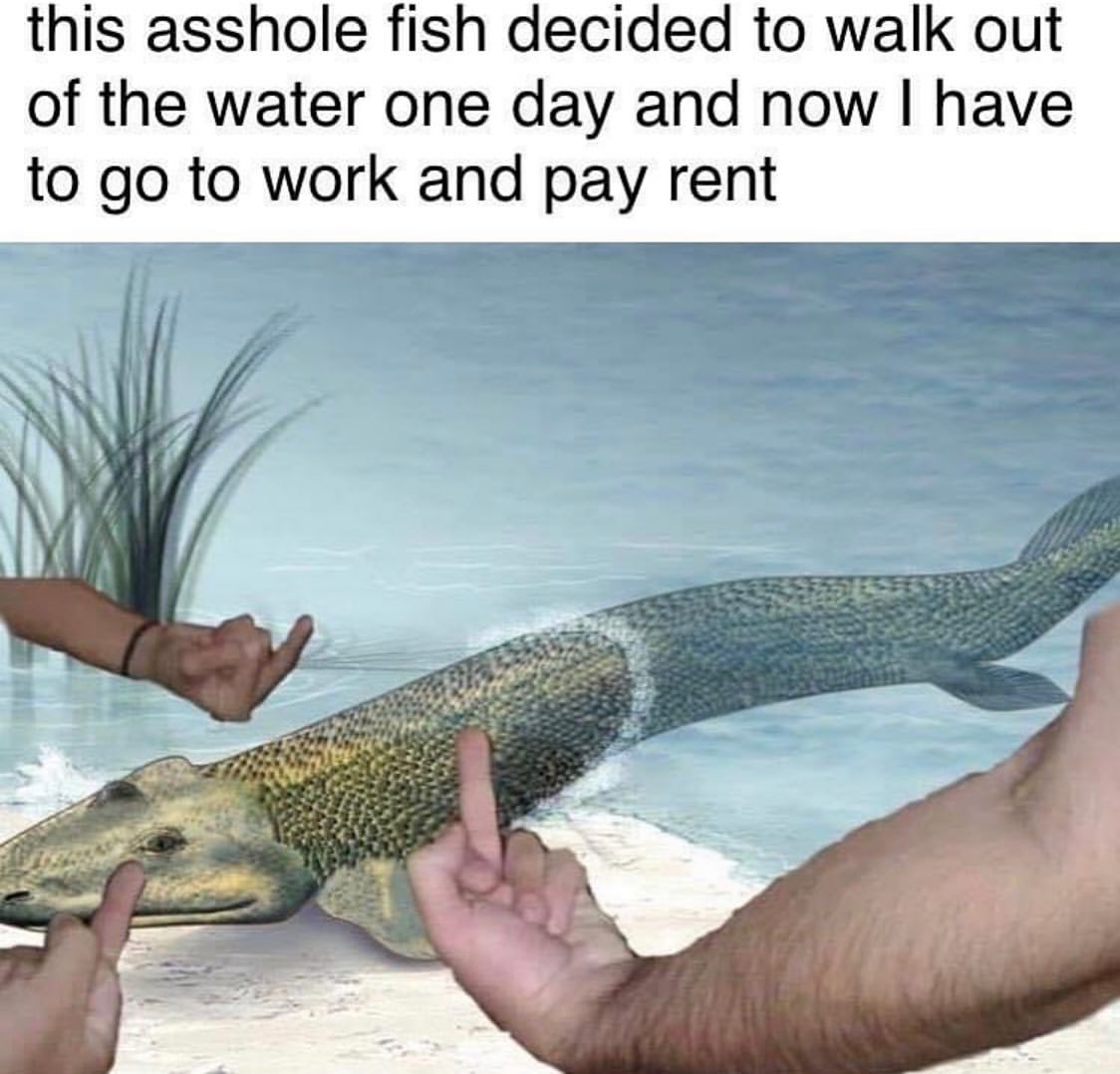 This asshole fish decided to walk out of the water one day and now I have to go to work and pay rent.