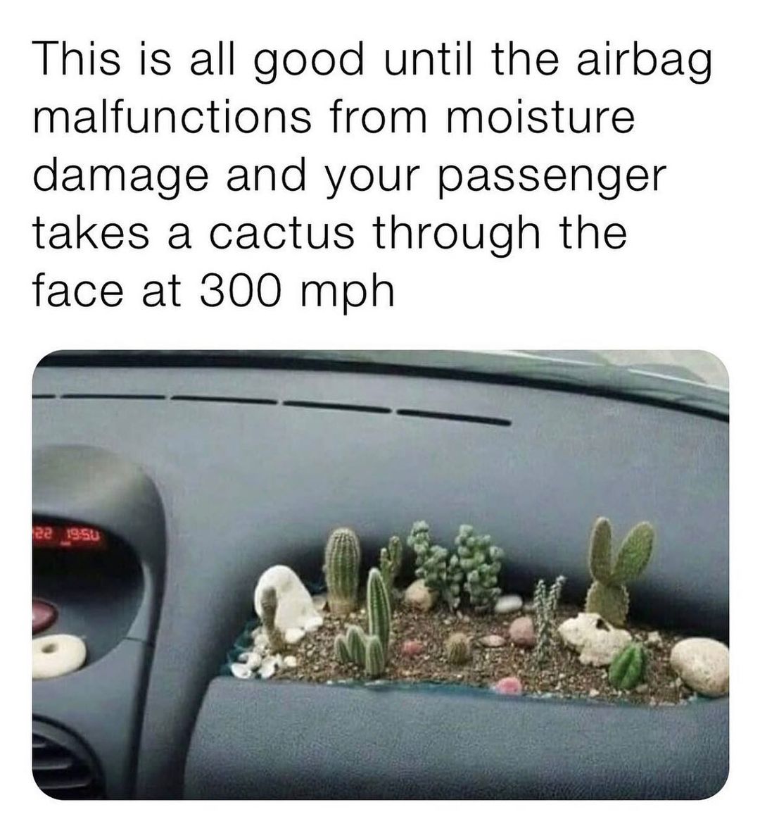 This is all good until the airbag malfunctions from moisture damage and your passenger takes a cactus through the face at 300 mph.
