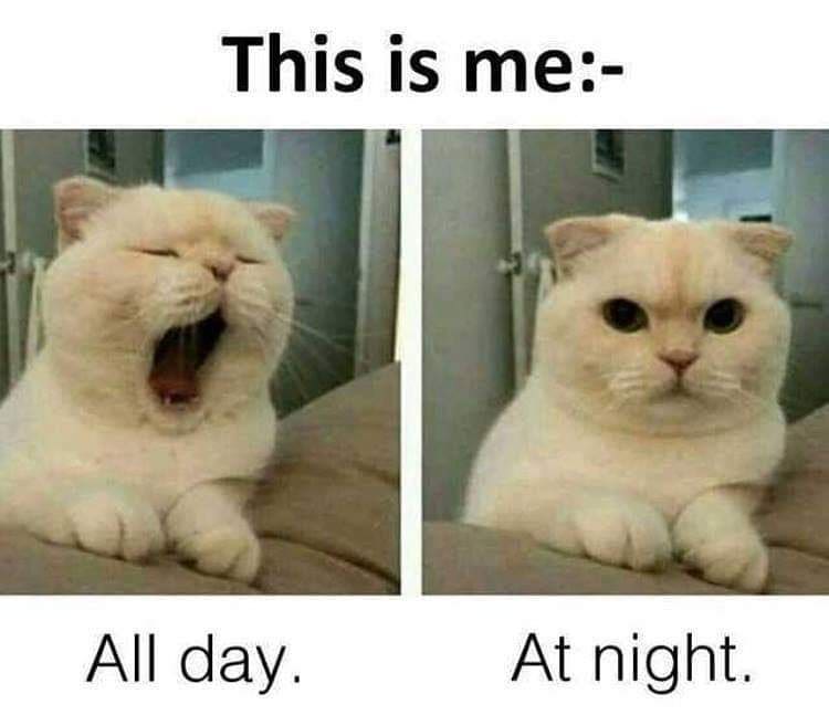 This is me: All day. At night.