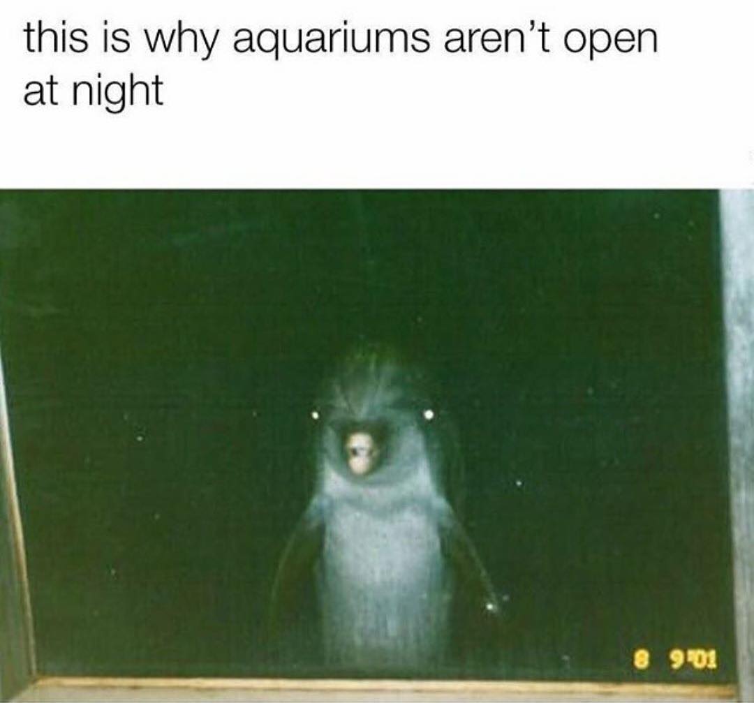 This is why aquariums aren't open at night.