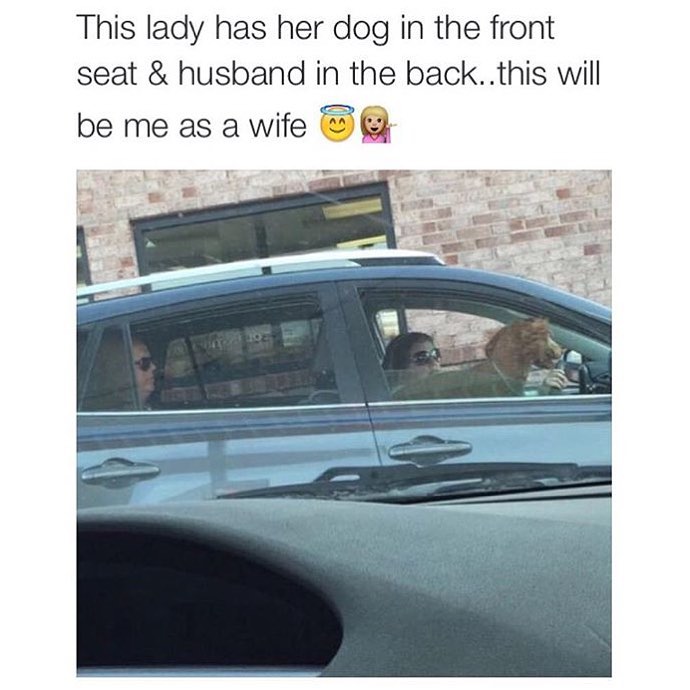 This lady has her dog in the front seat & husband in the back.. photo