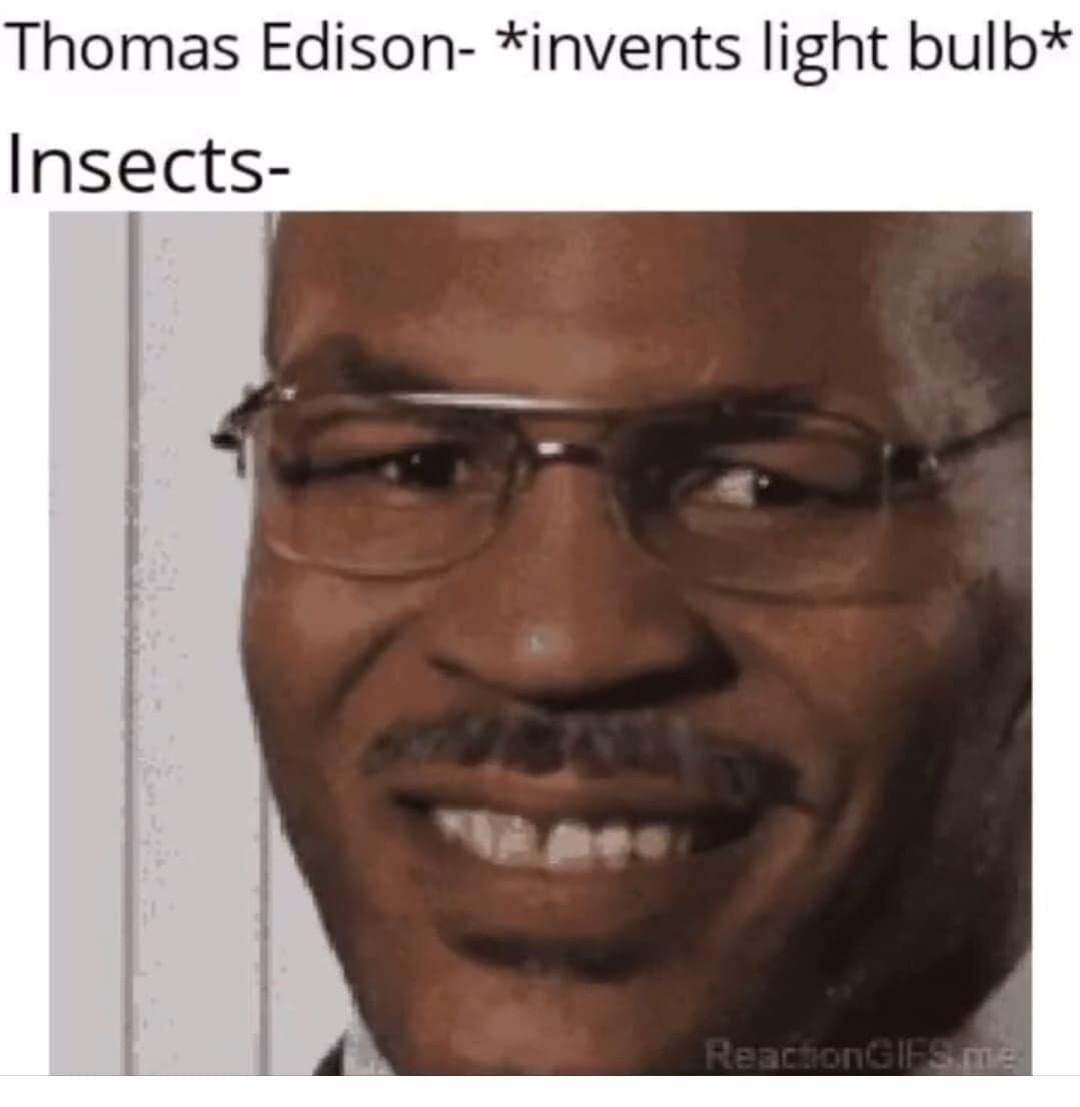 Thomas Edison- *invents light bulb* Insects-