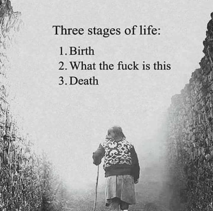 Three stages of life: 1. Birth. 2. What the fuck is this. 3. Death.