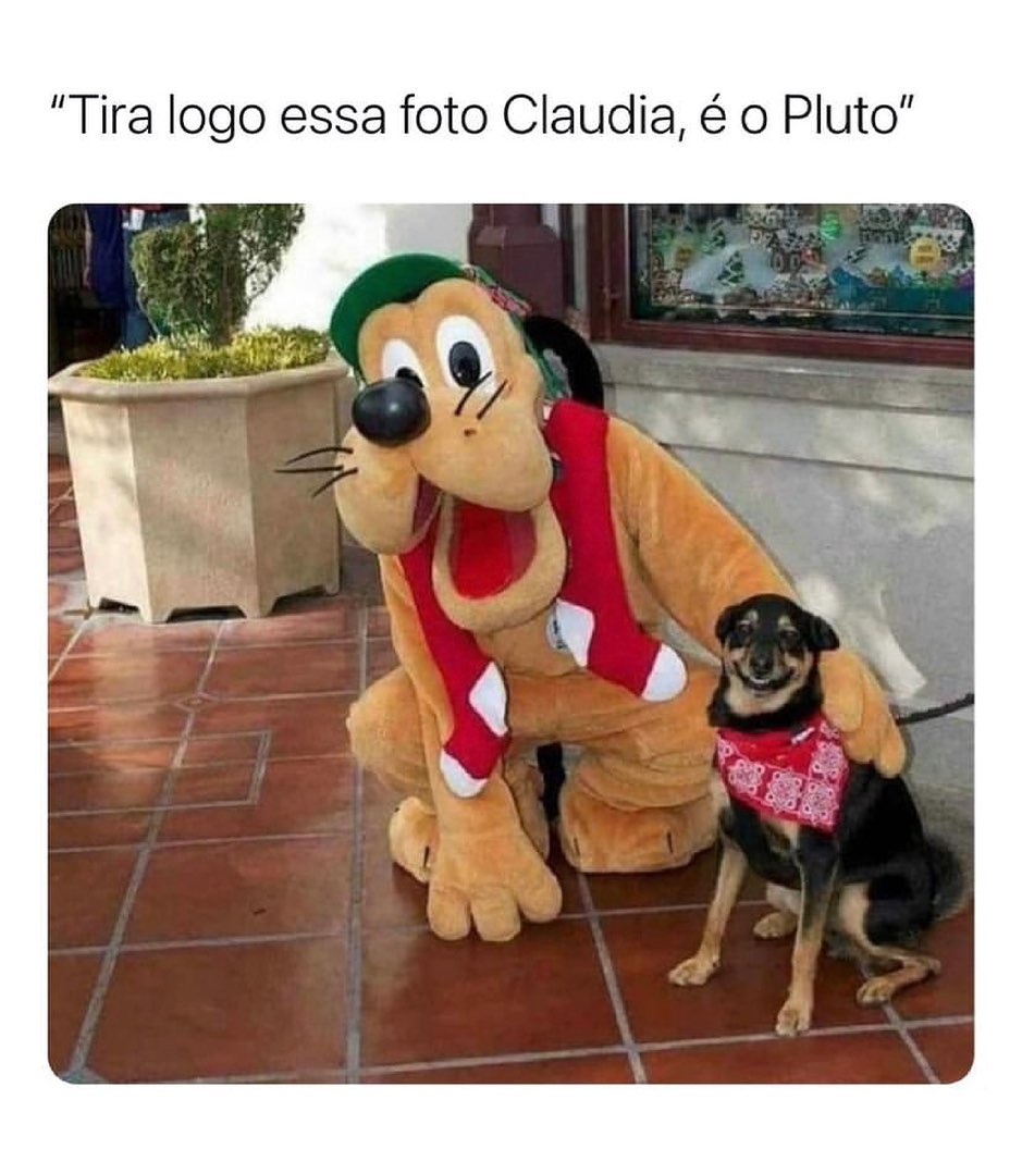 "Tira logo essa foto Claudia, é o Pluto".