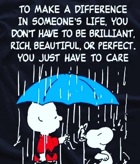 To make a difference in someone's life, you we to be brilliant, rich, beautiful, or perfect. You just have to care.