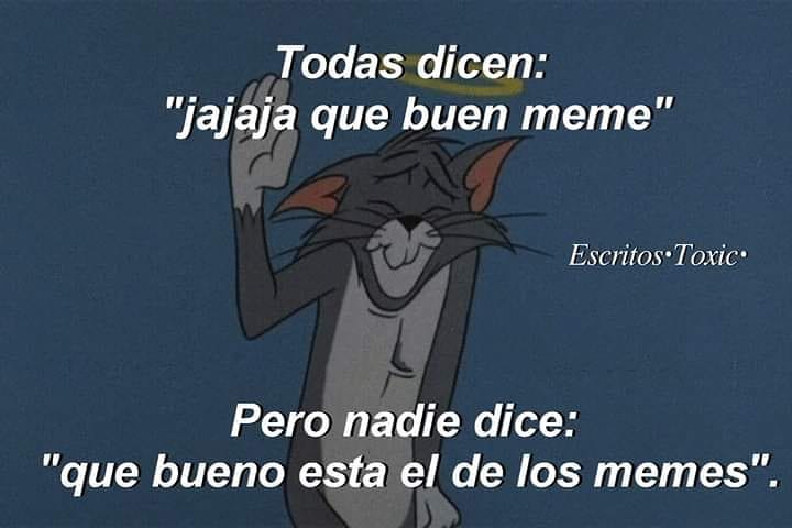 Todas dicen: "jajaja que buen meme". Pero nadie dice: "que bueno esta el de los memes".