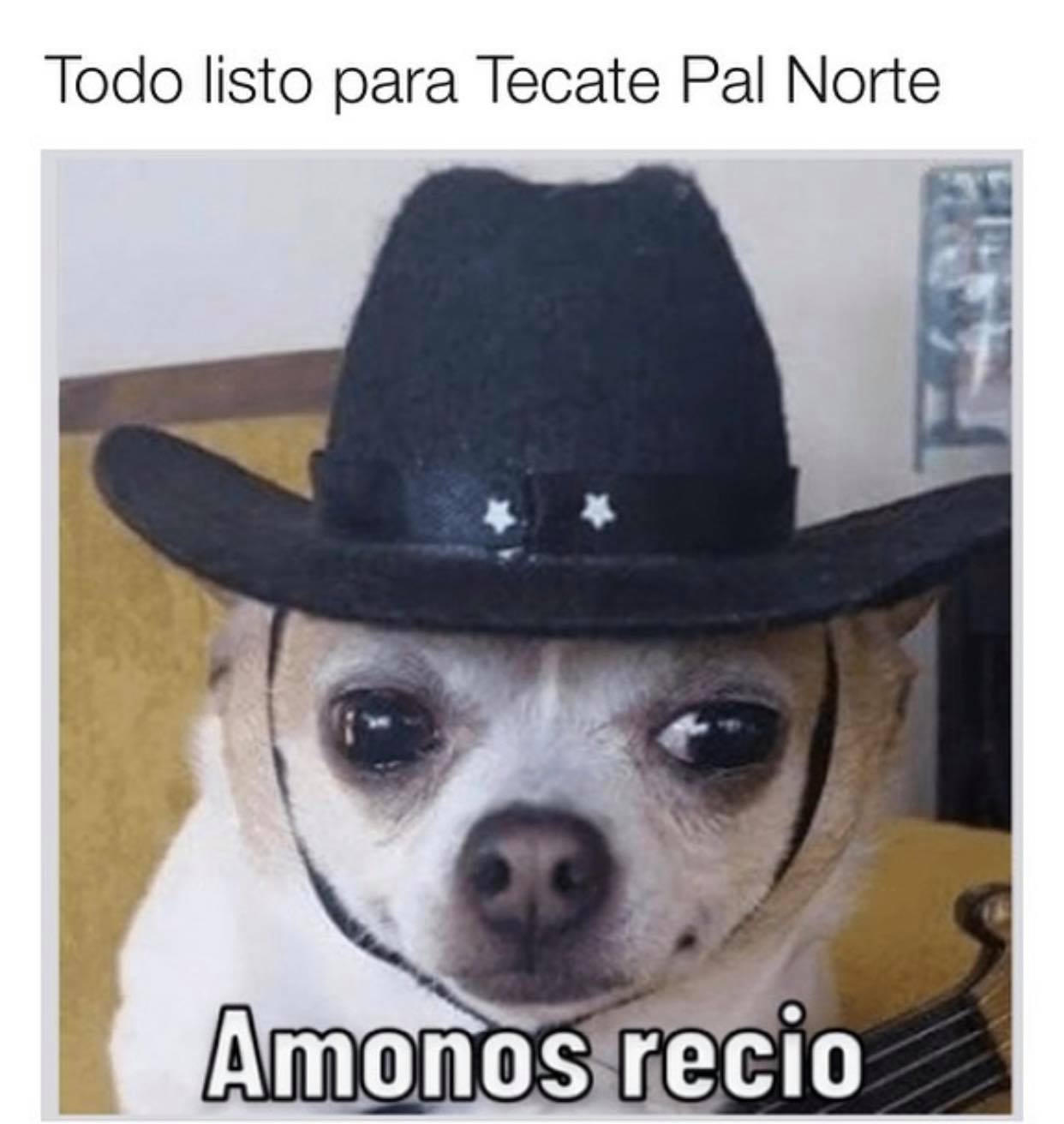 Todo listo para Tecate pal norte.  Amonos recio.