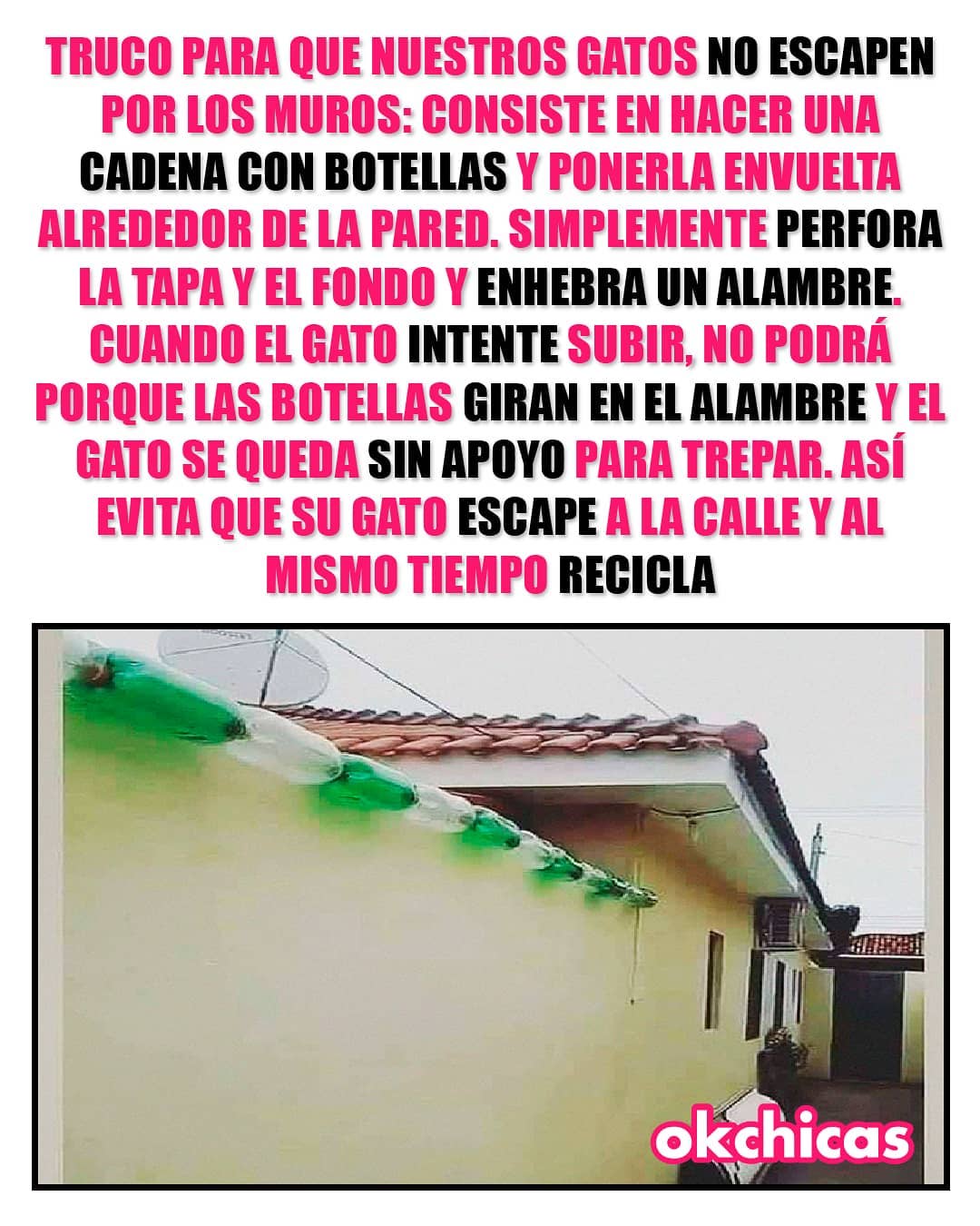 Truco para que nuestros gatos no escapen por los muros: Consiste en hacer una cadena con botellas y ponerla envuelta alrededor de la pared. Simplemente perfora la tapa el fondo y enhebra un alambre. cuando el gato intente subir, no podrá porque las botellas giran en el alambre el gato se queda sin apoyo para trepar. Evita que su gato escape a la calle y al mismo tiempo recicla.