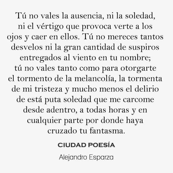 Tú no vales la ausencia, ni la soledad, ni el vértigo que provoca verte a los ojos y caer en ellos. Tú no mereces tantos desvelos ni la gran cantidad de suspiros entregados al viento en tu nombre; tú no vales tanto como para otorgarte el tormento de la melancolía, la tormenta de mi tristeza y mucho menos el delirio de está puta soledad que me carcome desde adentro, a todas horas y en cualquier parte por donde haya cruzado tu fantasma.