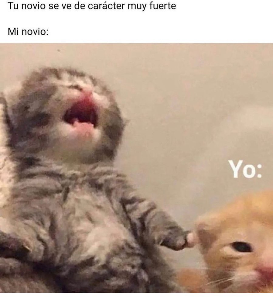 Tu Novio Se Ve De Carácter Muy Fuerte Mi Novio Yo Memes 5067