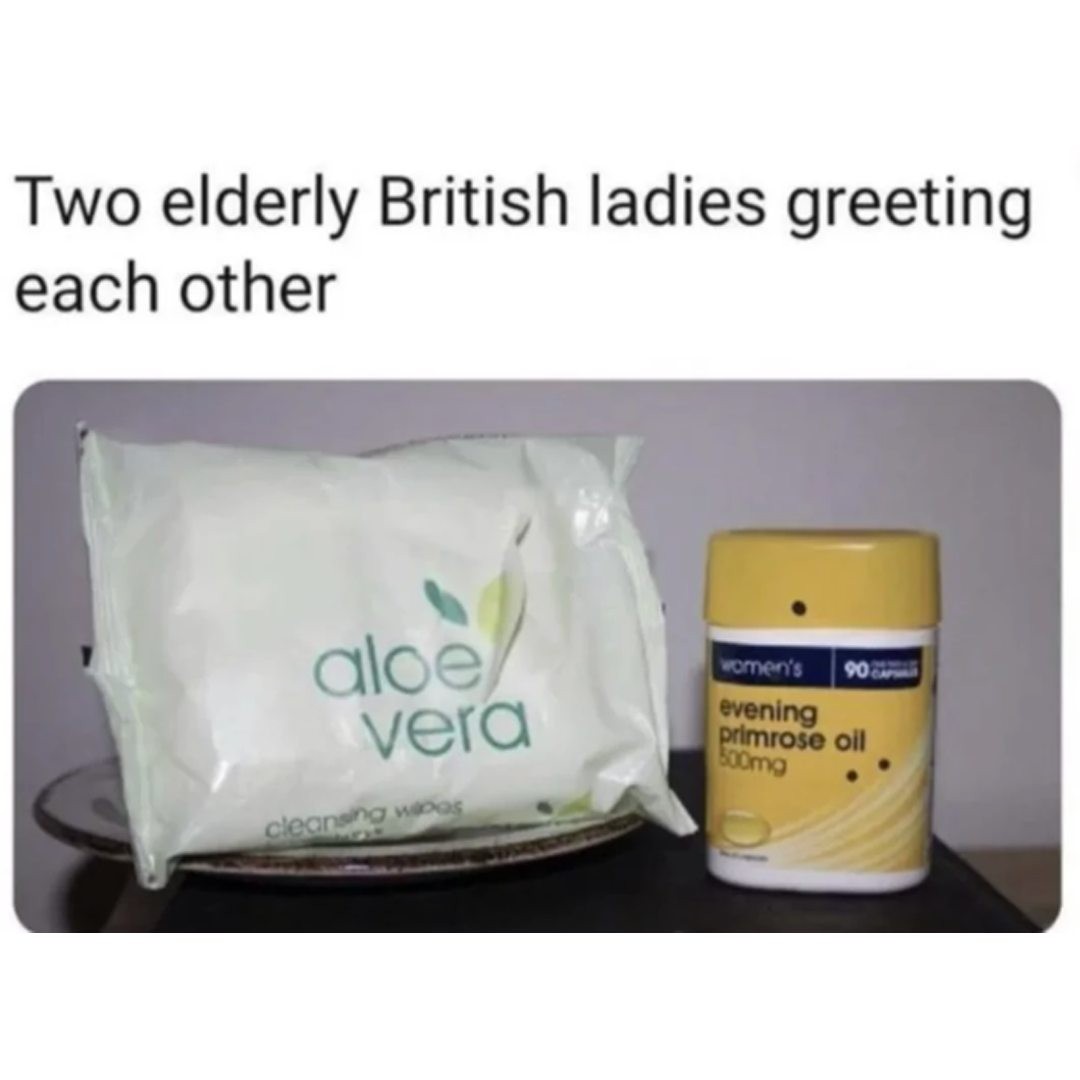 Two elderly British ladies greeting each other.