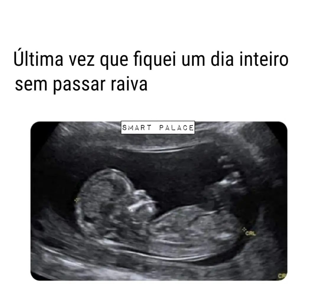 Última vez que fiquei um dia inteiro sem passar raiva.