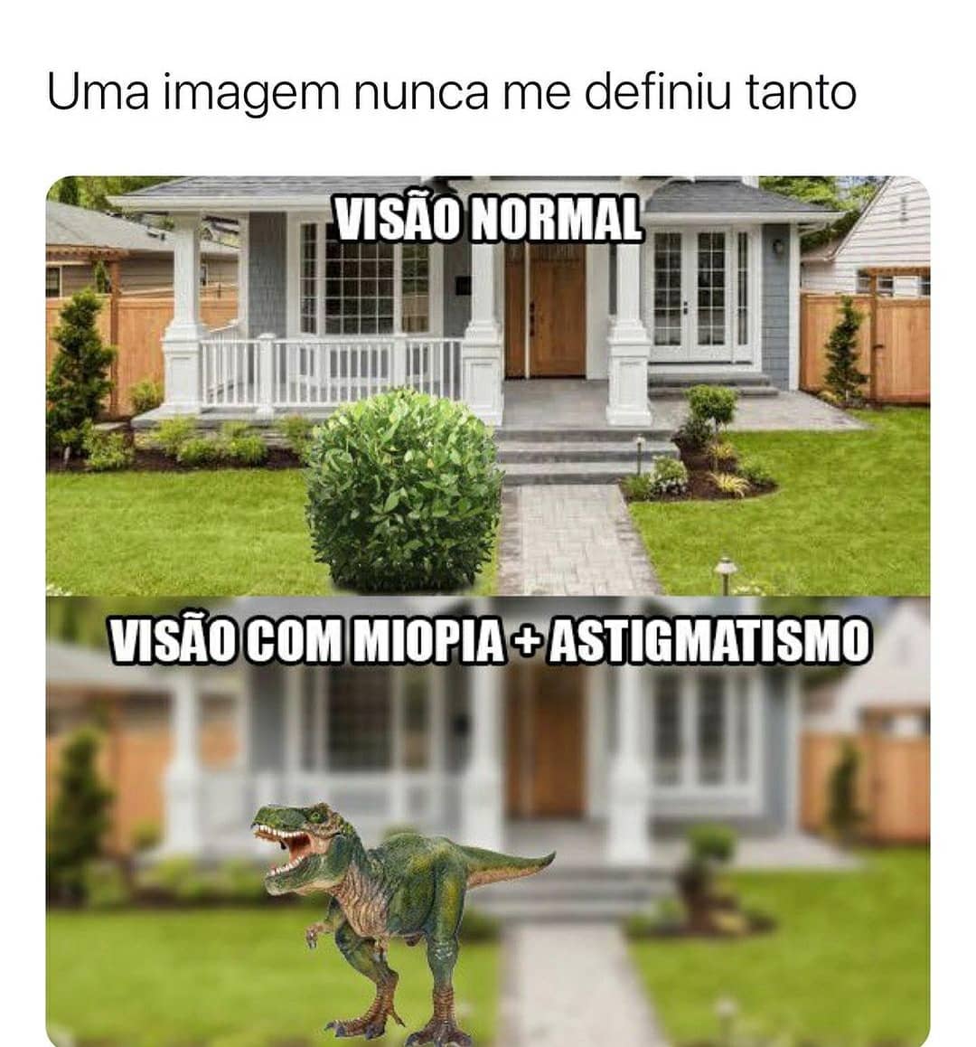 Uma imagem nunca me definiu tanto: Visão normal. Visão com miopia + astigmatismo.