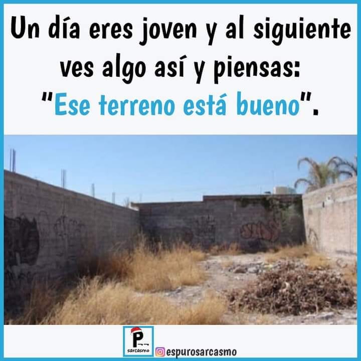 Un día eres joven y al siguiente ves algo así y piensas: "Ese terreno está bueno".