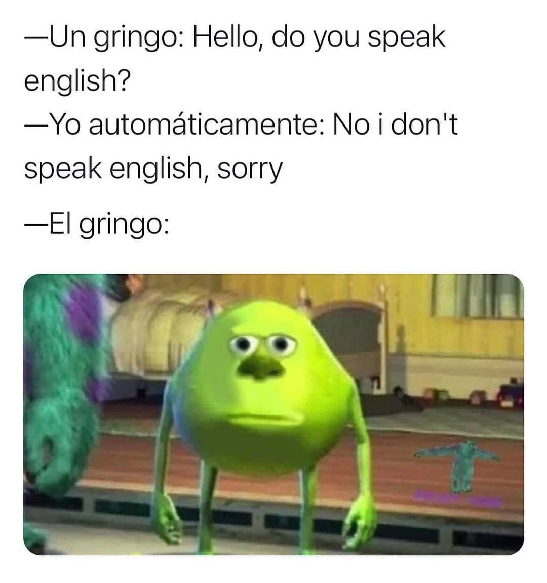 Un gringo: Hello, do you speak english?  Yo automáticamente: No I don't speak English, sorry.  El gringo: