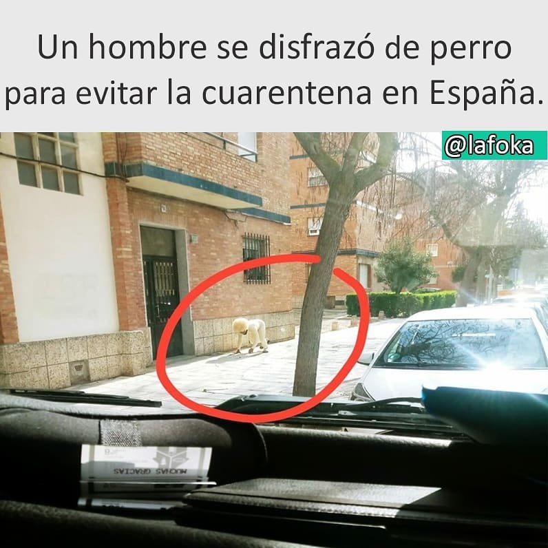 Un hombre se disfrazó de perro para evitar la cuarentena en España.
