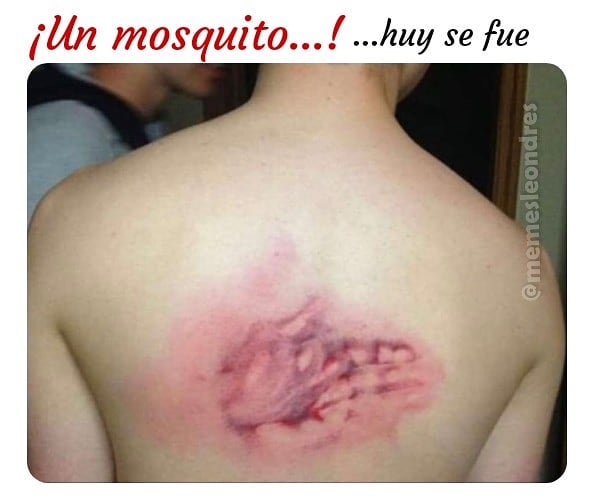 ¡Un mosquito...! ...Huy se fue.